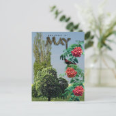 Mei maand Bomen Kastanje Rowan Ash, Populier Briefkaart (Staand voorkant)