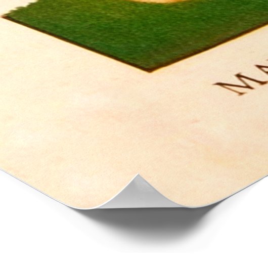 Mei Pole -  kunst Poster (Hoek)