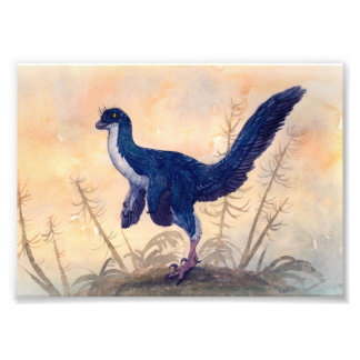 Mei Print Foto Afdruk