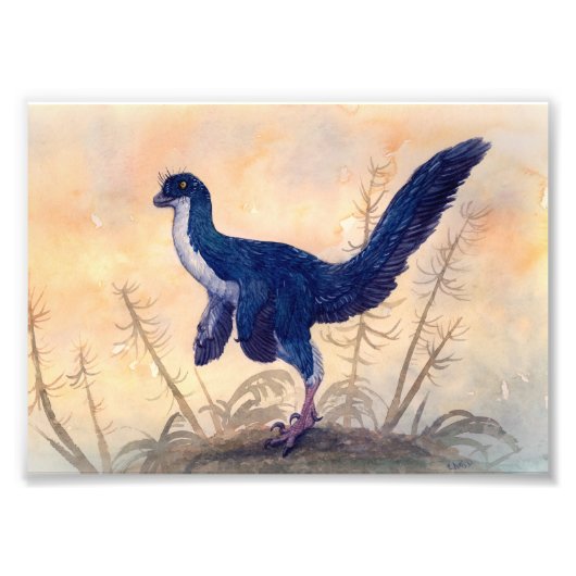 Mei Print Foto Afdruk (Voorkant)