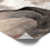 Mei Qing Nine Dragon Pool Poster (Hoek)