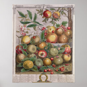 Mei, 'Twaalf maanden fruit' Poster