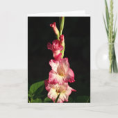 Mei Uw Hart Blij is, Gladiola Kaart (Voorkant)