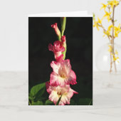 Mei Uw Hart Blij is, Gladiola Kaart (Gele Bloem)