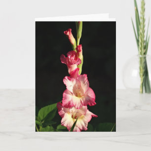 Mei Uw Hart Blij is, Gladiola Kaart