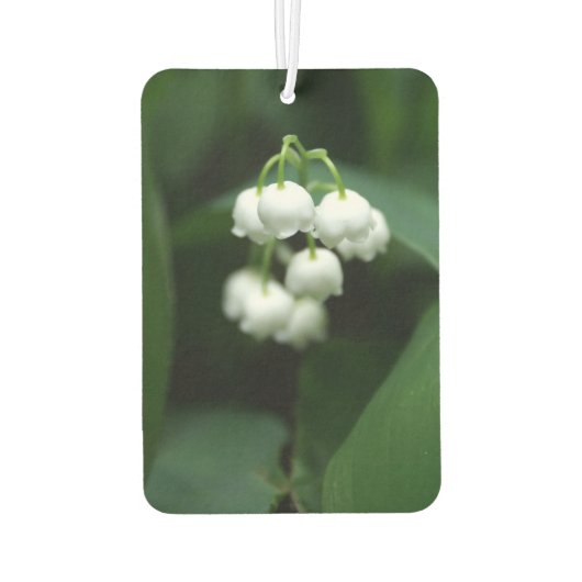 Mei witte lileugen luchtverfrisser (Achterkant)