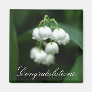 Mei witte lileugen magneet