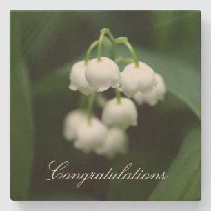 Mei witte lileugen stenen onderzetter