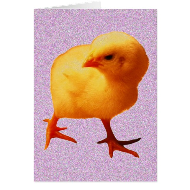 meid in beweging (Voorkant)