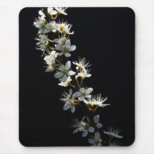 meidoorn bloemen mpcnm muismat (Voorkant)