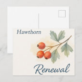 Meidoorn — Vernieuwing Briefkaart (Voorkant / Achterkant)