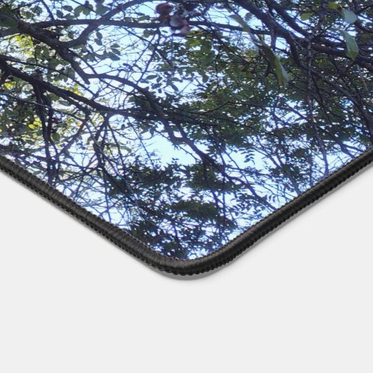 meidoornbessen bureaumat (Hoek)