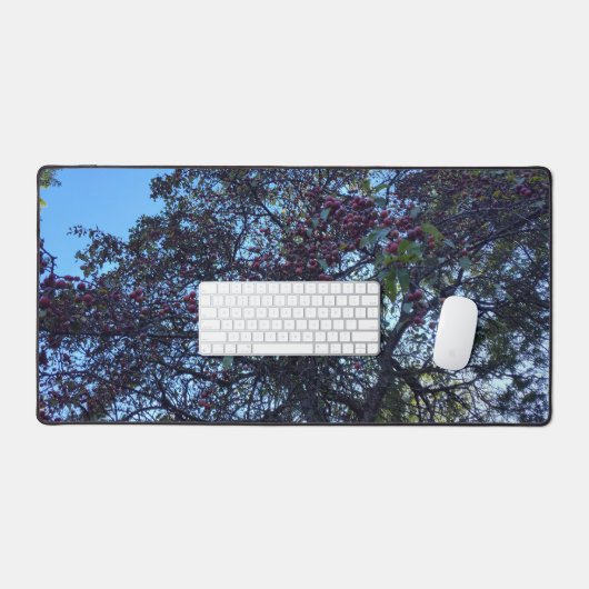 meidoornbessen bureaumat (Keyboard & Muis)