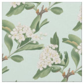 meidoornbloem stof (Close Up)