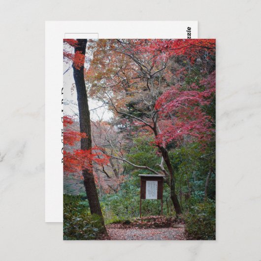 Meiji-Jingu Schrijn Binnentuin Briefkaart (Voorkant / Achterkant)