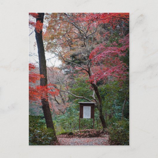 Meiji-Jingu Schrijn Binnentuin Briefkaart (Voorkant)