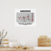Meiosis Verhoogde variabiliteit Alle Dochtercellen Poster (Keuken)