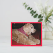 meisje briefkaart (Staand voorkant)