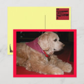 meisje briefkaart (Voorkant / Achterkant)