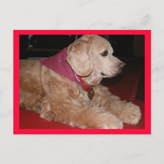 meisje briefkaart (Voorkant)