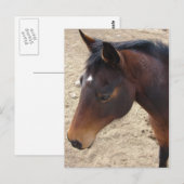 meisje briefkaart (Voorkant / Achterkant)