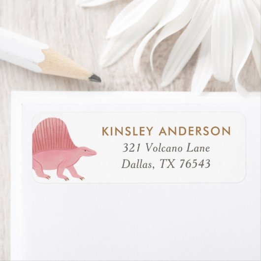 Meisje Dinosaurus Verjaardagsfeestje Retouradres Etiket (Insitu)