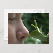 Meisje en Mantis religiosa Briefkaart (Voorkant / Achterkant)