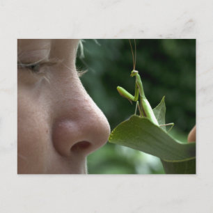 Meisje en Mantis religiosa Briefkaart