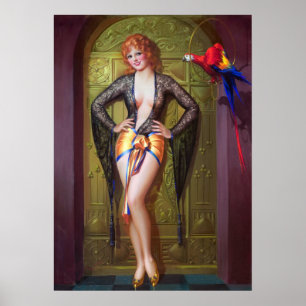 Meisje en papegaaien poster