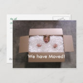 Meisje in de doos aankondigingskaart (Voorkant / Achterkant)