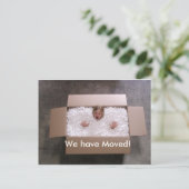 Meisje in de doos aankondigingskaart (Staand voorkant)