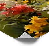 Meisje in een bloeiende tuin, impressionistische s poster (Hoek)