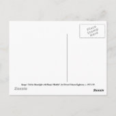 Meisje in Moonlight met Banjo Ukulele Briefkaart (Achterkant)