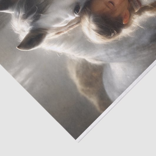 Meisje Knuffelen Witte Paard Decoupage Tissuepapier (Detail)