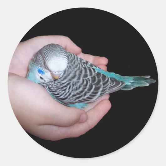 Meisje met baby budgie sticker (Voorkant)