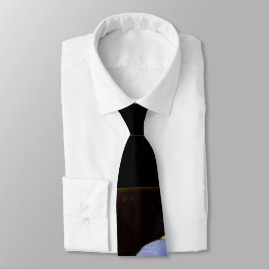 Meisje met een parel die Vermeer Fine Art verdient Stropdas (Gebonden)