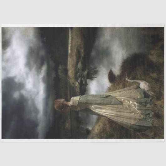 Meisje met ganzenontbindingspapier tissuepapier (Voorkant)