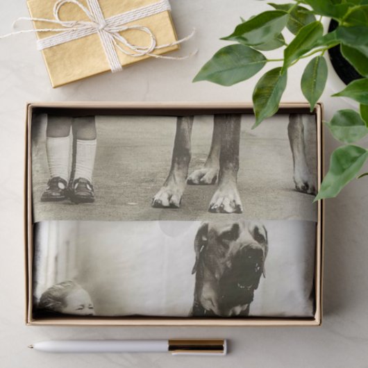  meisje met groots papier voor daandog (Geschenk)