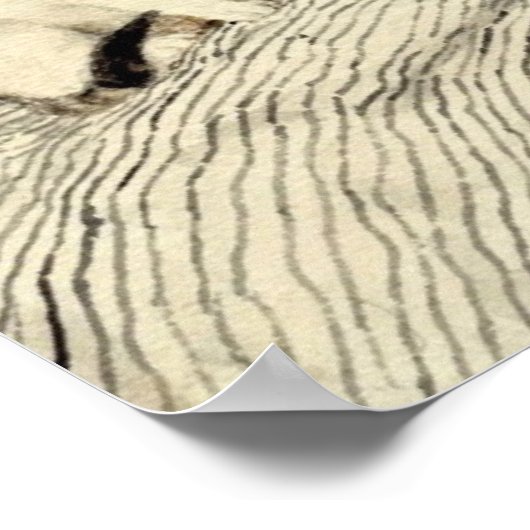 Meisje met kat, Albert Anker Poster (Hoek)