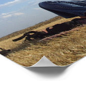 Meisje met Kite Poster (Hoek)