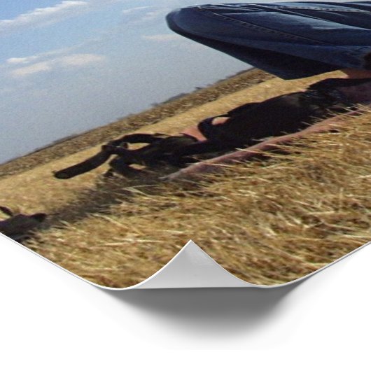 Meisje met Kite Poster (Hoek)