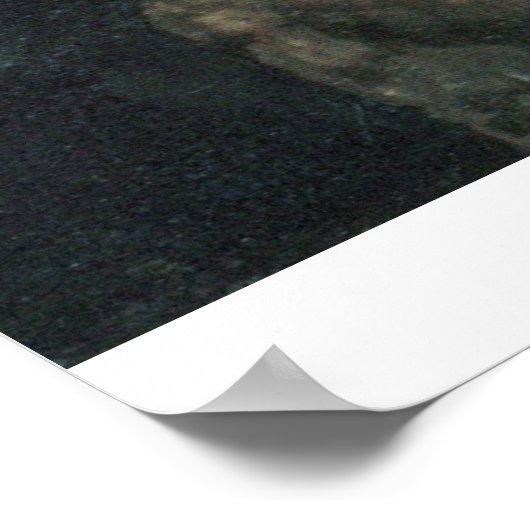 Meisje met rood pet van Johannes Vermeer Poster (Hoek)