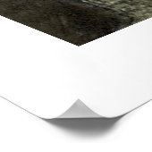 Meisje met witte hond poster (Hoek)