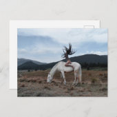 Meisje op paard briefkaart (Voorkant / Achterkant)
