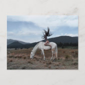 Meisje op paard briefkaart (Voorkant)