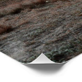 Meisje op paard perfect poster (Hoek)