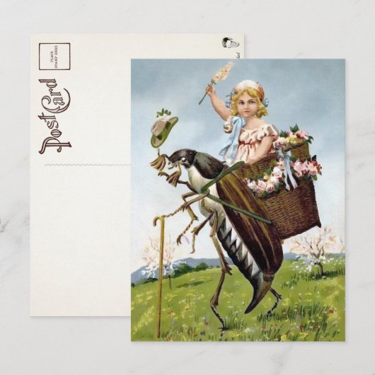  meisje rijden insecten Briefkaart (Voorkant / Achterkant)