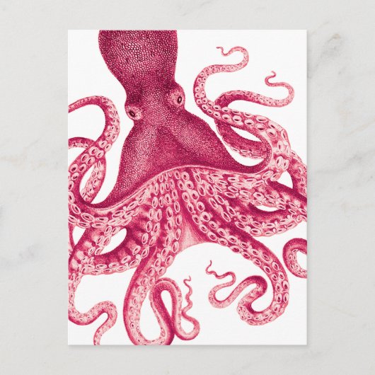  meisje roze octopus illustratie briefkaart (Voorkant)