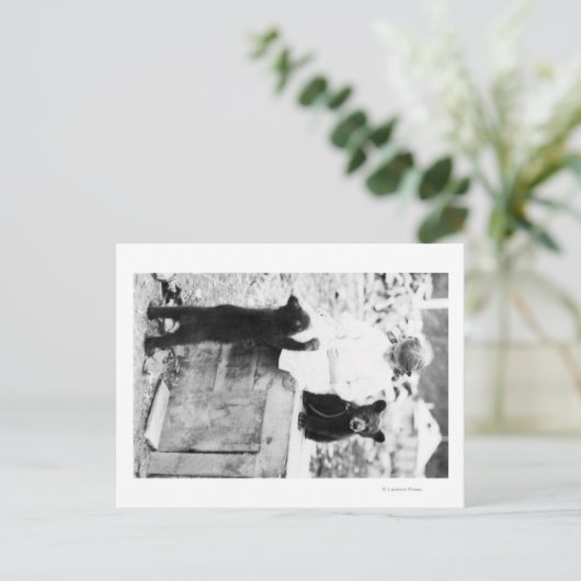 Meisje spelen met Beer Cub in Seward Briefkaart (Staand voorkant)