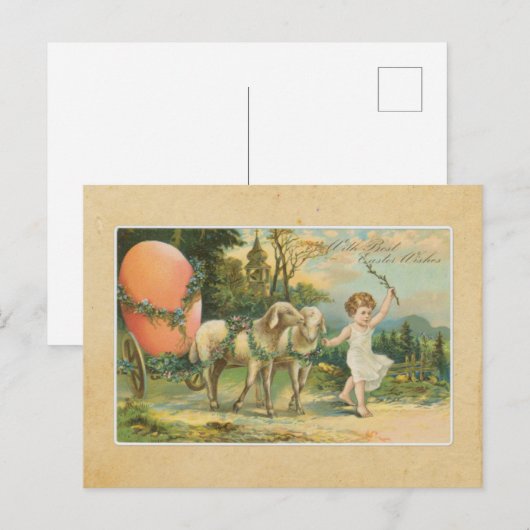  meisje uit 1906 met Pasen van Lamb Briefkaart (Voorkant / Achterkant)
